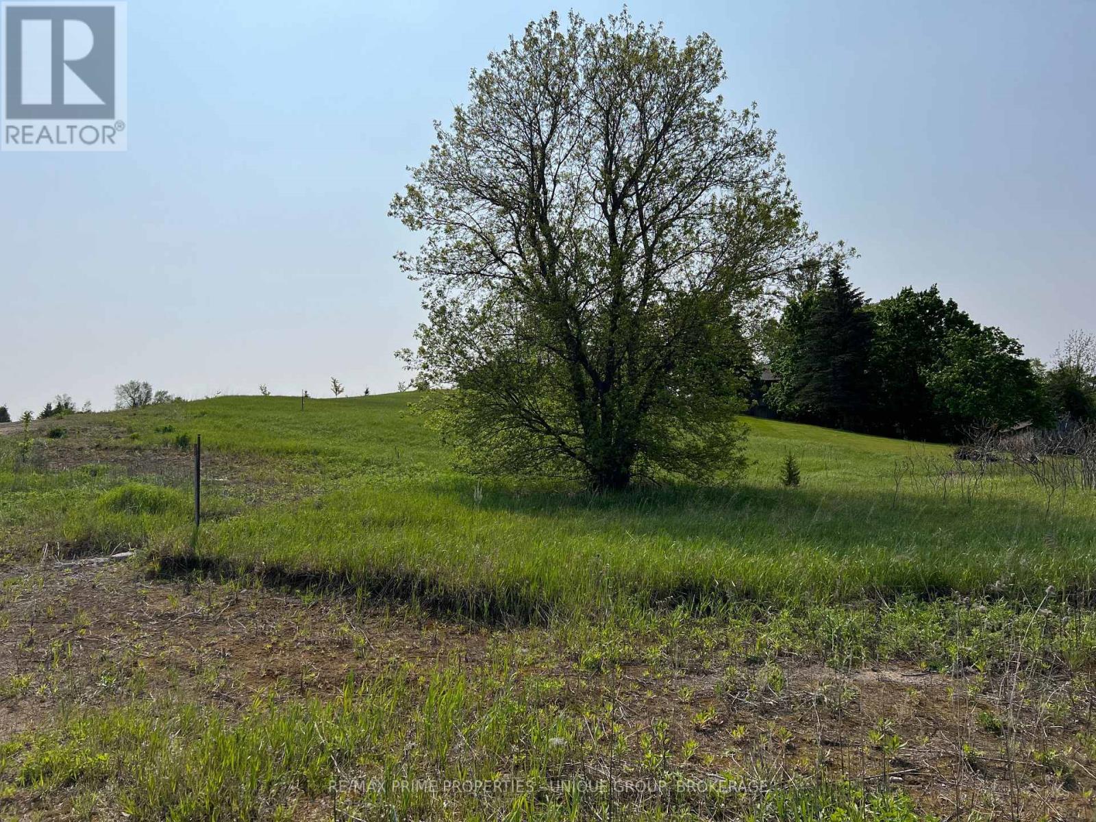 Listing X5617063 - Large Photo # 5