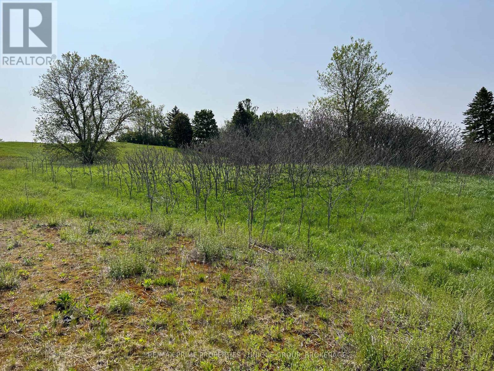 Listing X5617063 - Large Photo # 4