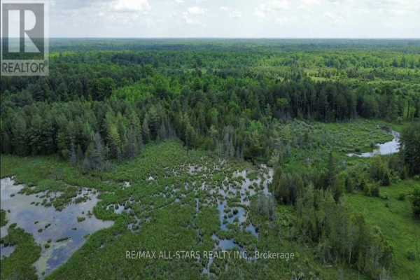 2206 VICTORIA RD, Kawartha Lakes