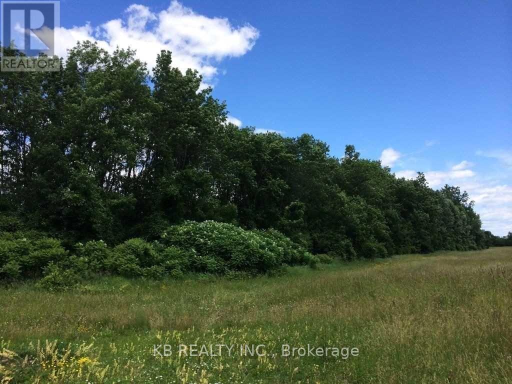 Listing X5636257 - Large Photo # 3