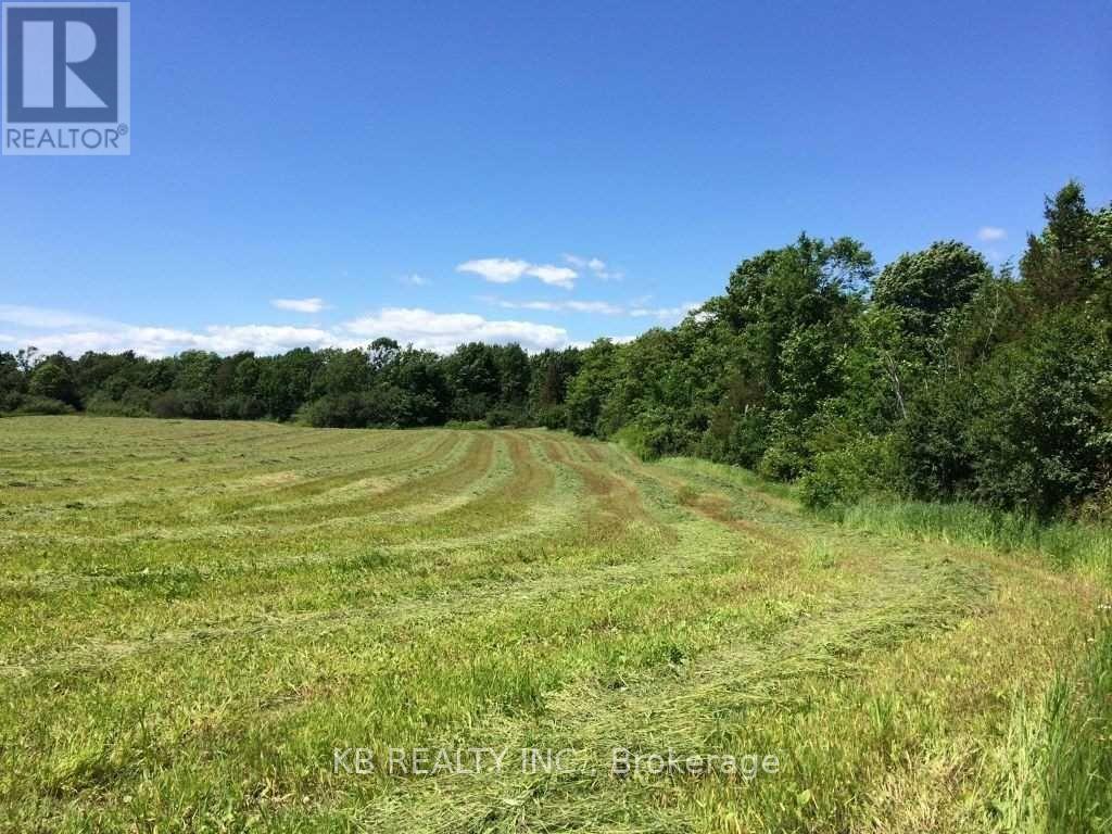 Listing X5636257 - Large Photo # 1
