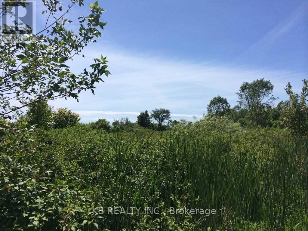 Listing X5636257 - Large Photo # 4