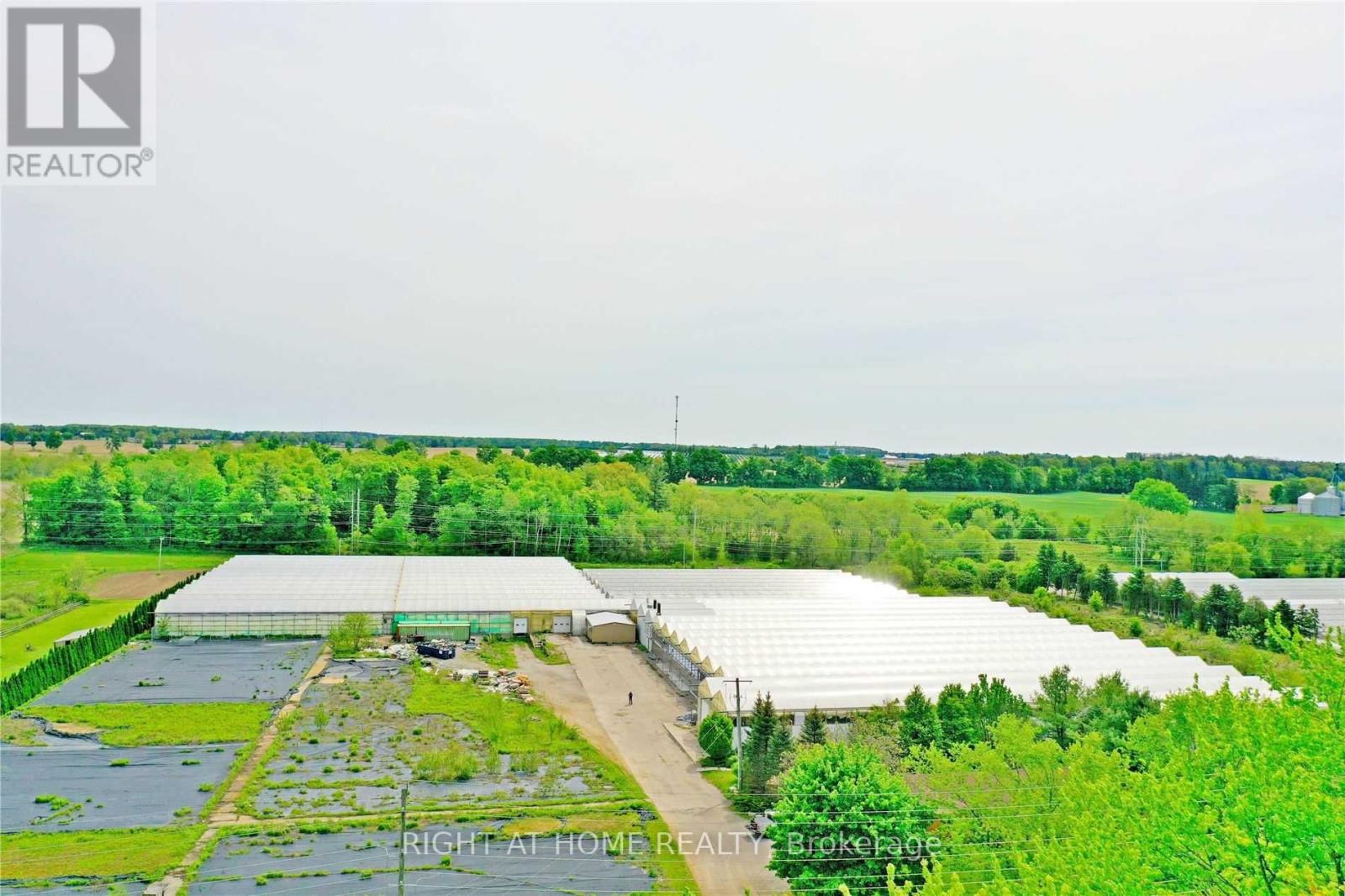 Listing X5675202 - Large Photo # 3