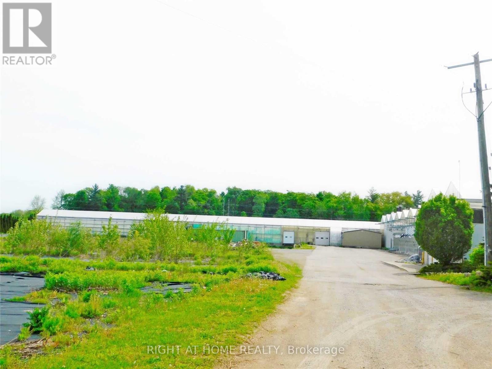 Listing X5675202 - Large Photo # 5