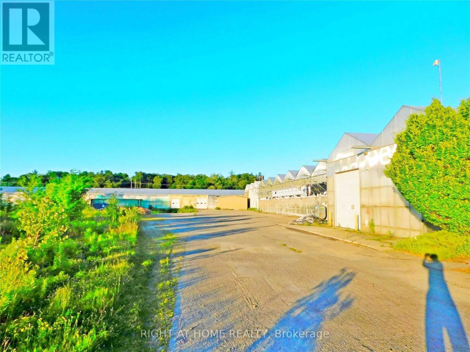 Listing X5675202 - Large Photo # 13