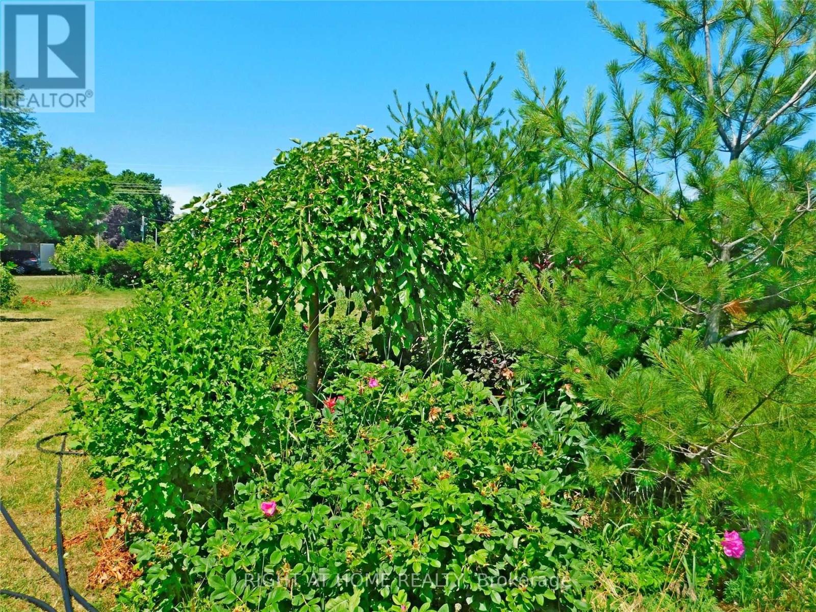 Listing X5699512 - Large Photo # 7