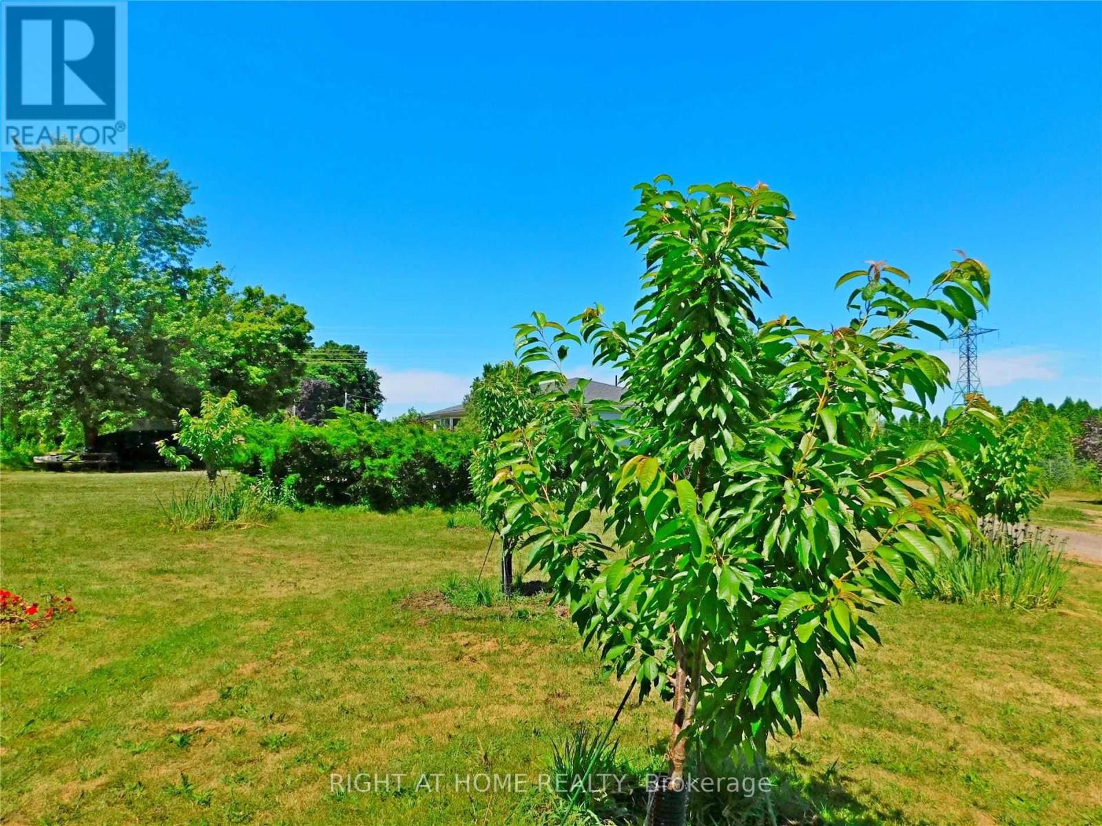 Listing X5699512 - Large Photo # 6