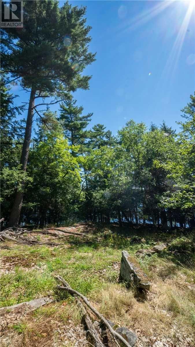 Listing X5727797 - Large Photo # 31