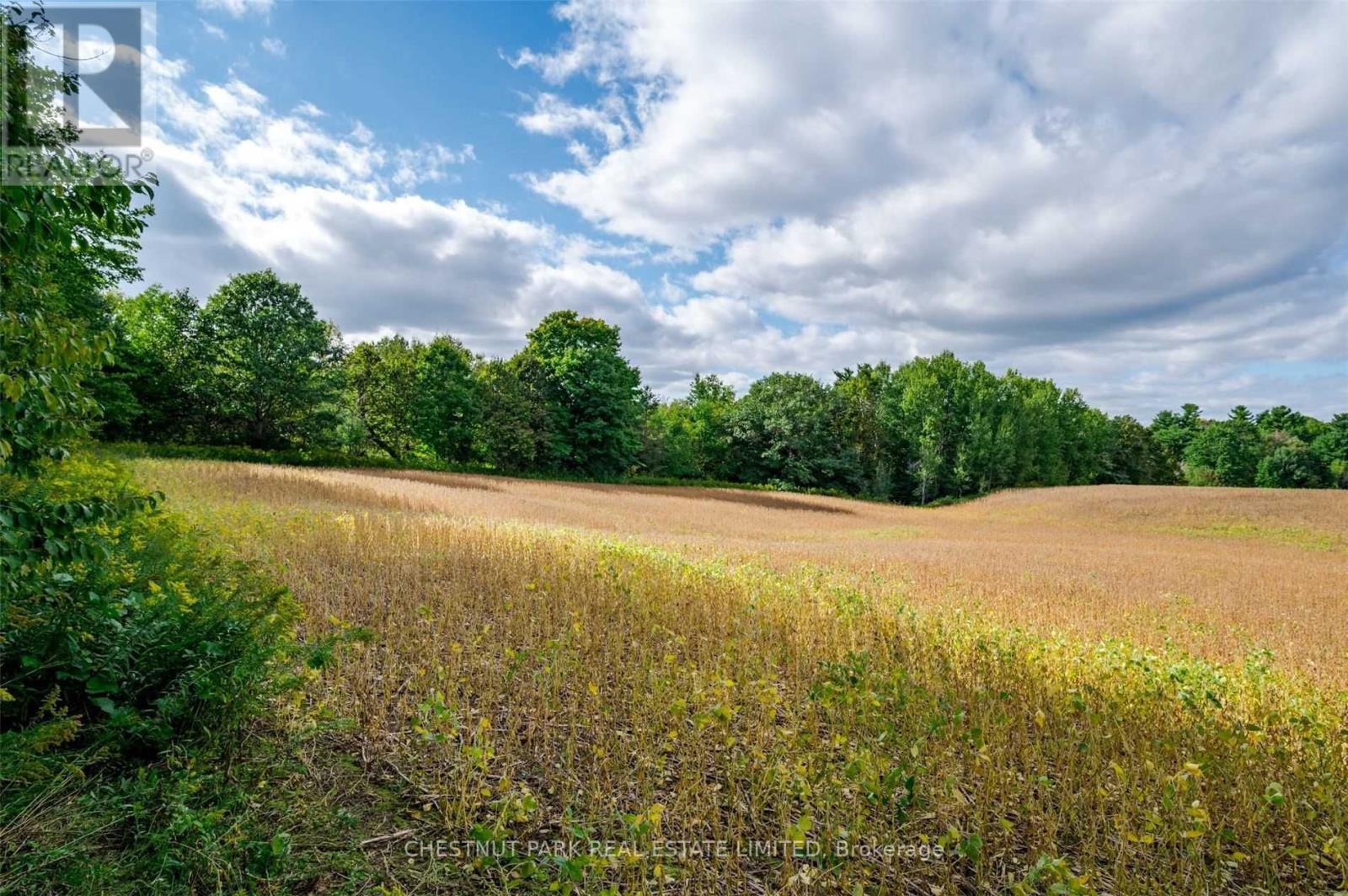 Listing X5773844 - Large Photo # 32
