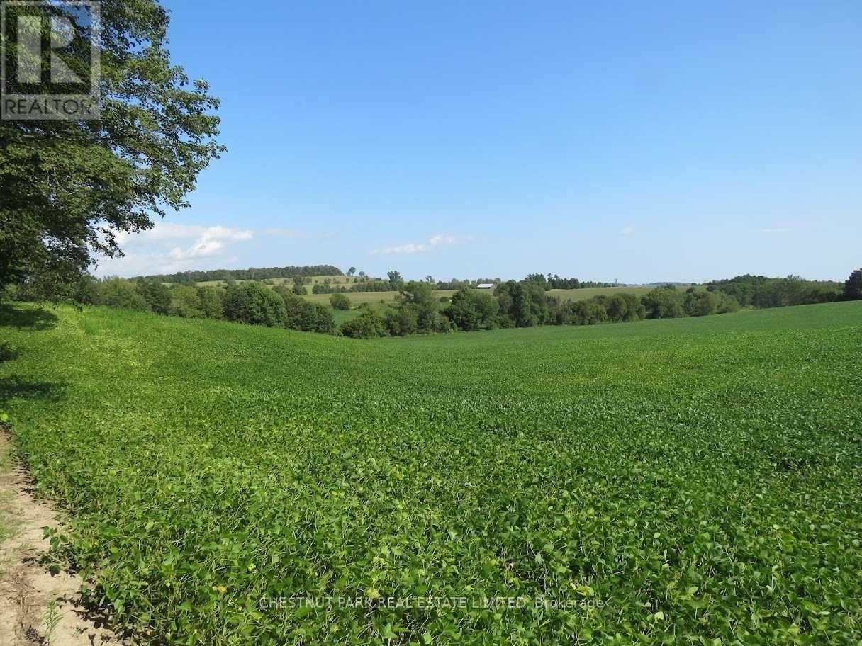 Listing X5773844 - Large Photo # 28