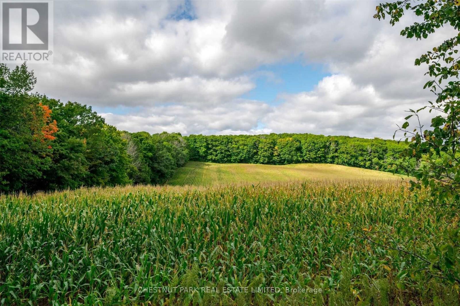 Listing X5773844 - Large Photo # 9