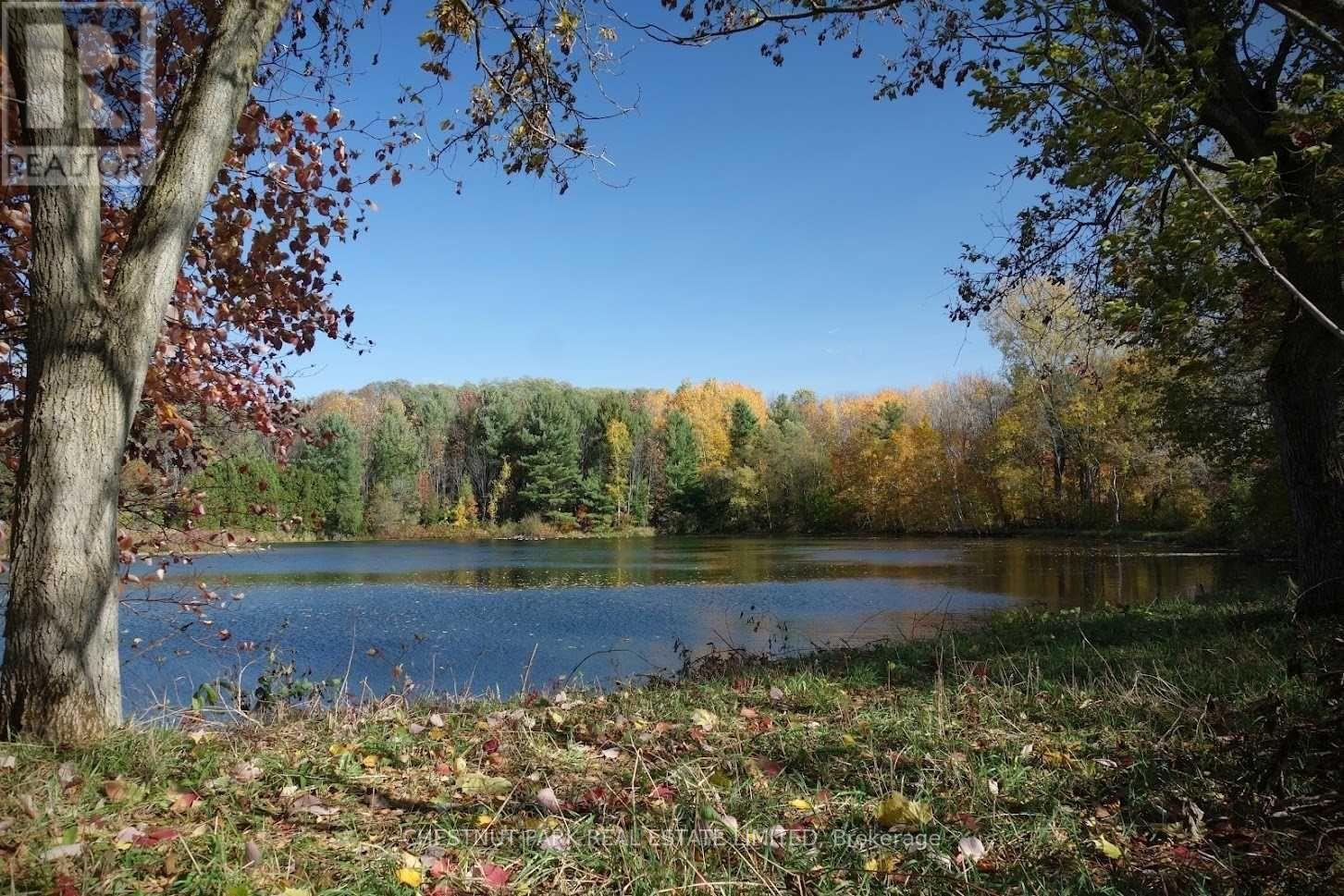 Listing X5773844 - Large Photo # 37