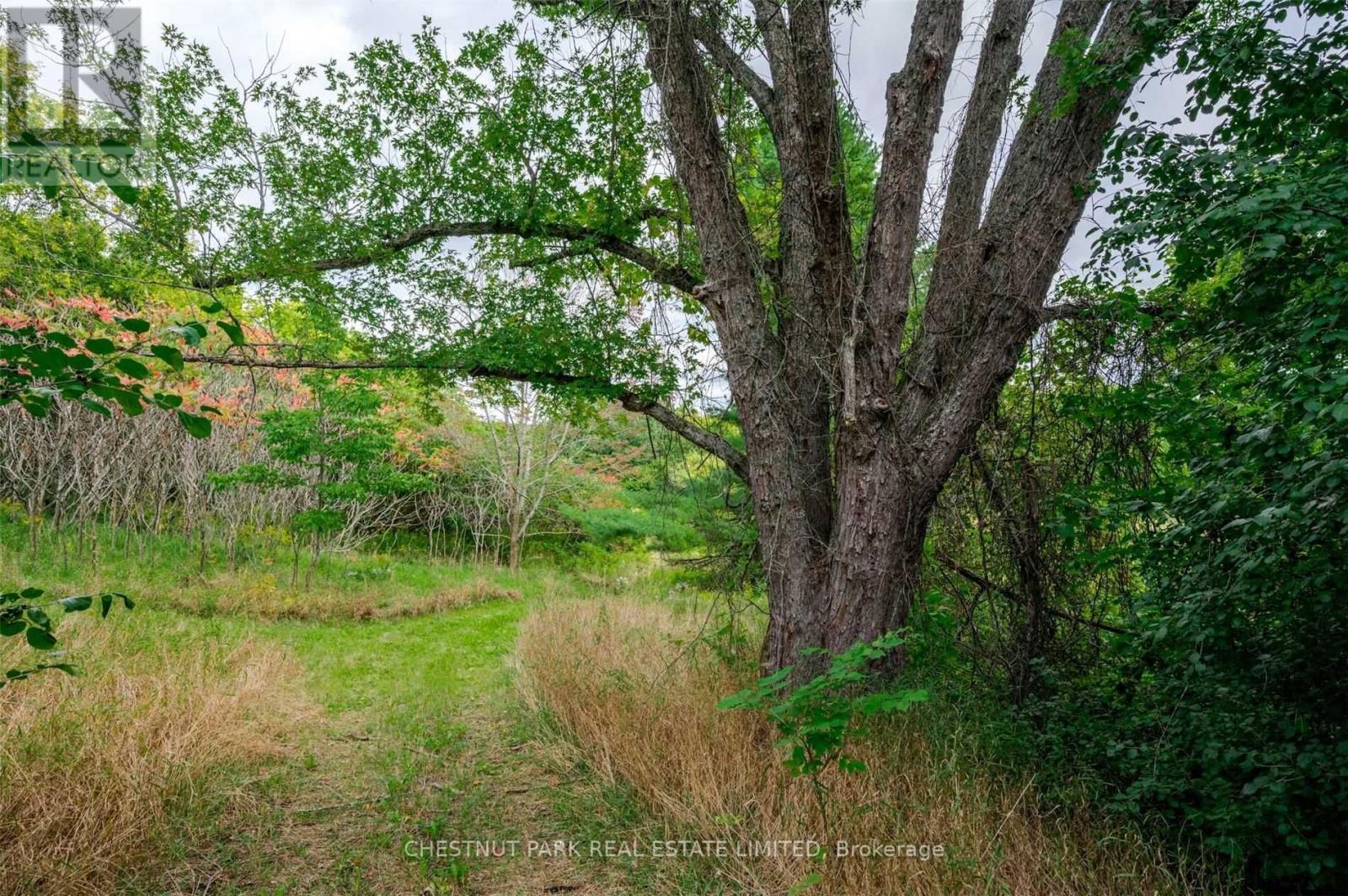 Listing X5773844 - Large Photo # 31