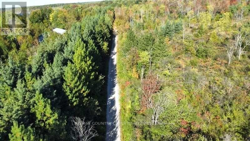Listing X5775129 - Large Photo # 2