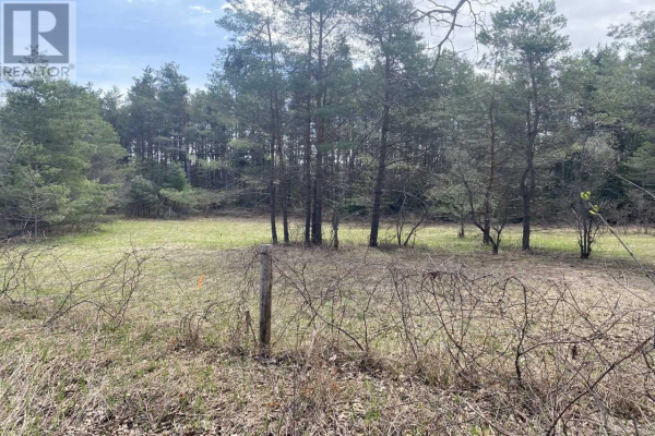 0 DINGMAN RD, Cramahe