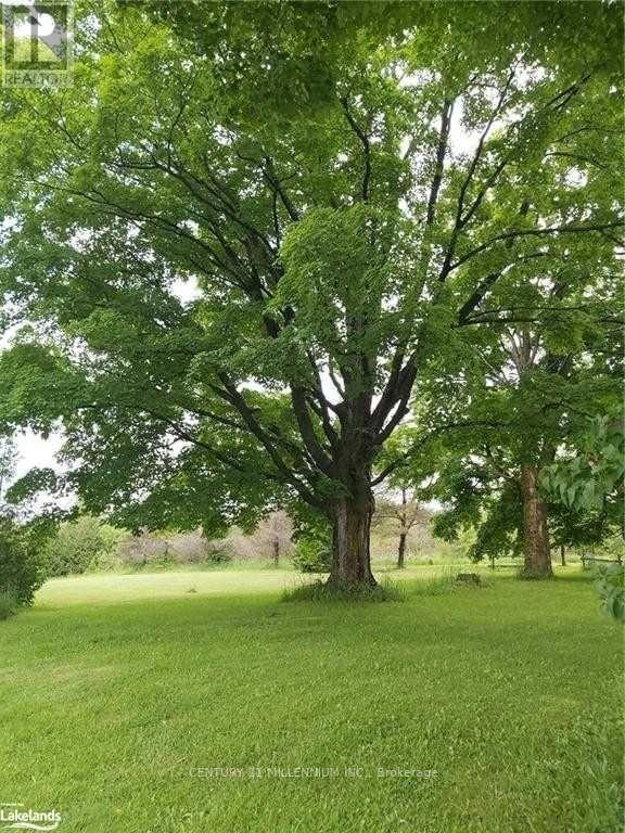 Listing X5819520 - Large Photo # 27