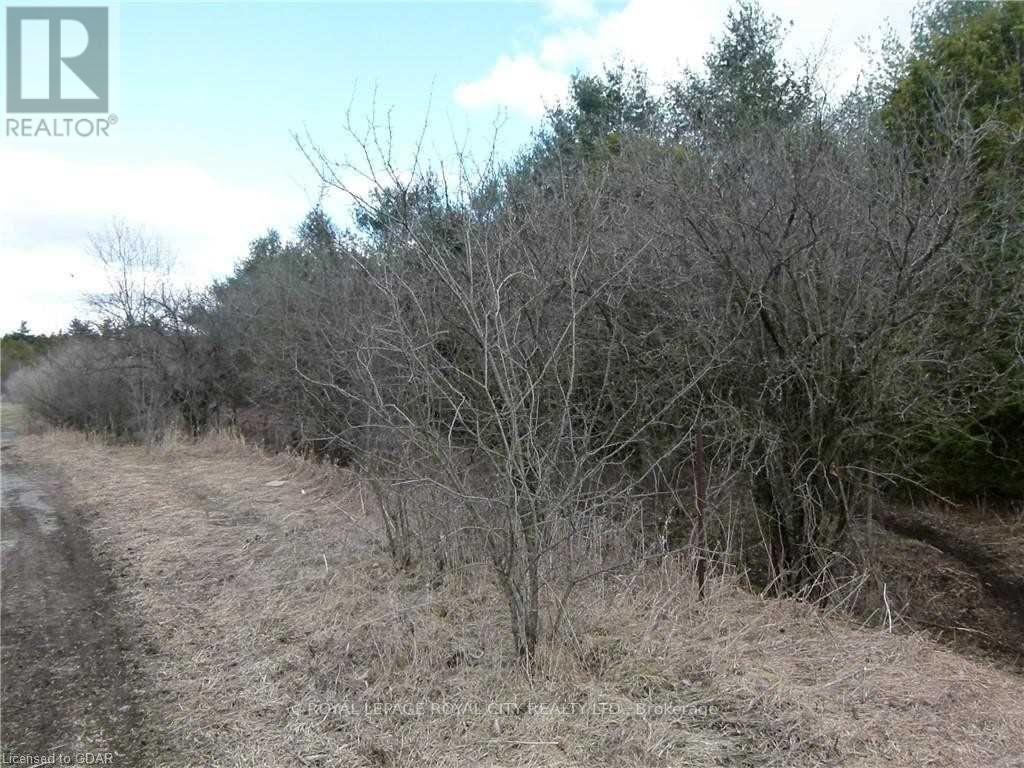 Listing X5820219 - Large Photo # 5
