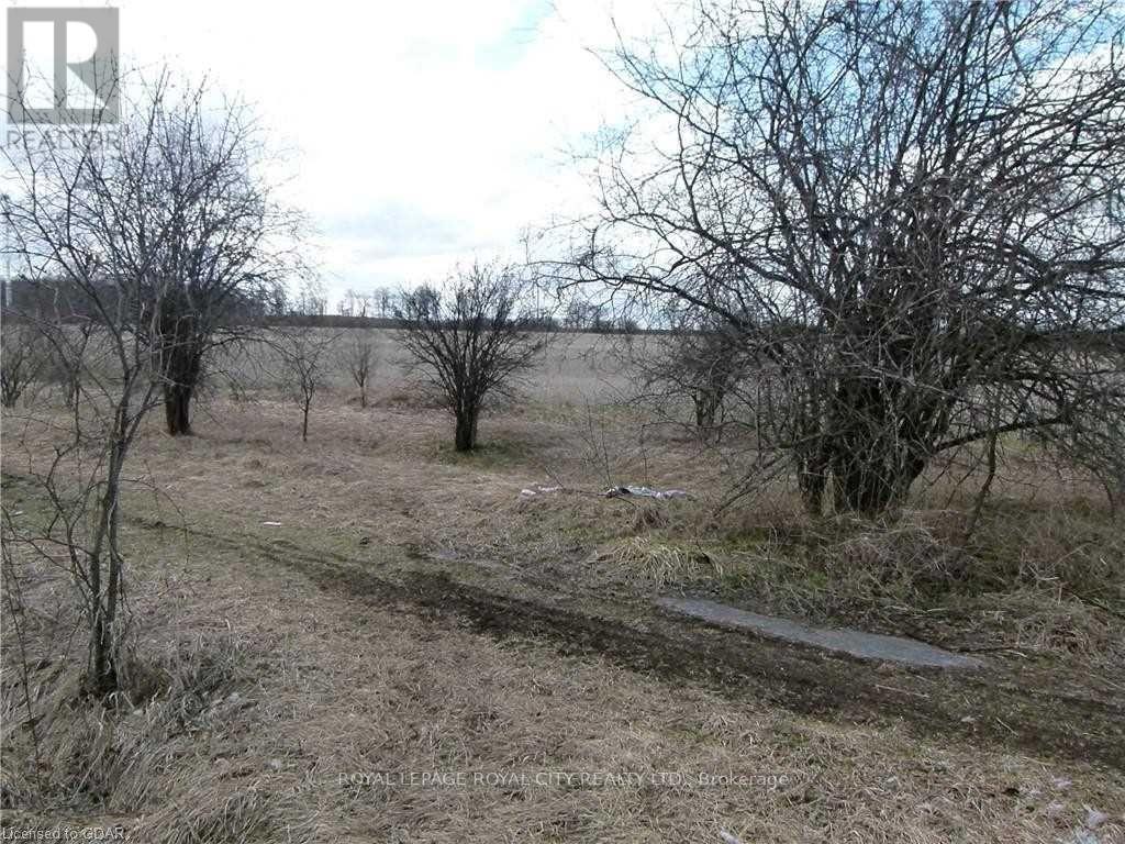 Listing X5820219 - Large Photo # 6