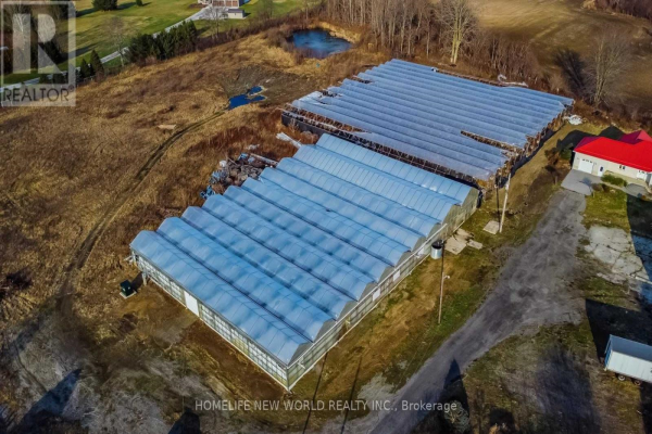 2532 HWY 59 ALLY S, Norfolk