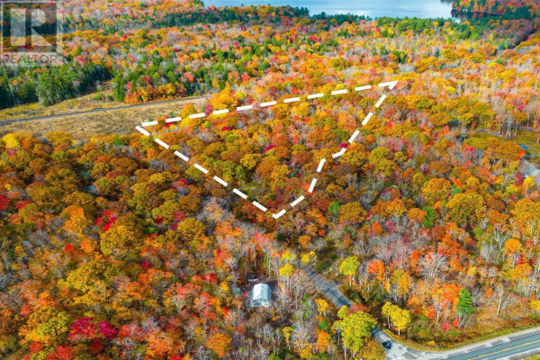 1101 BUCKEYE RD, Muskoka Lakes