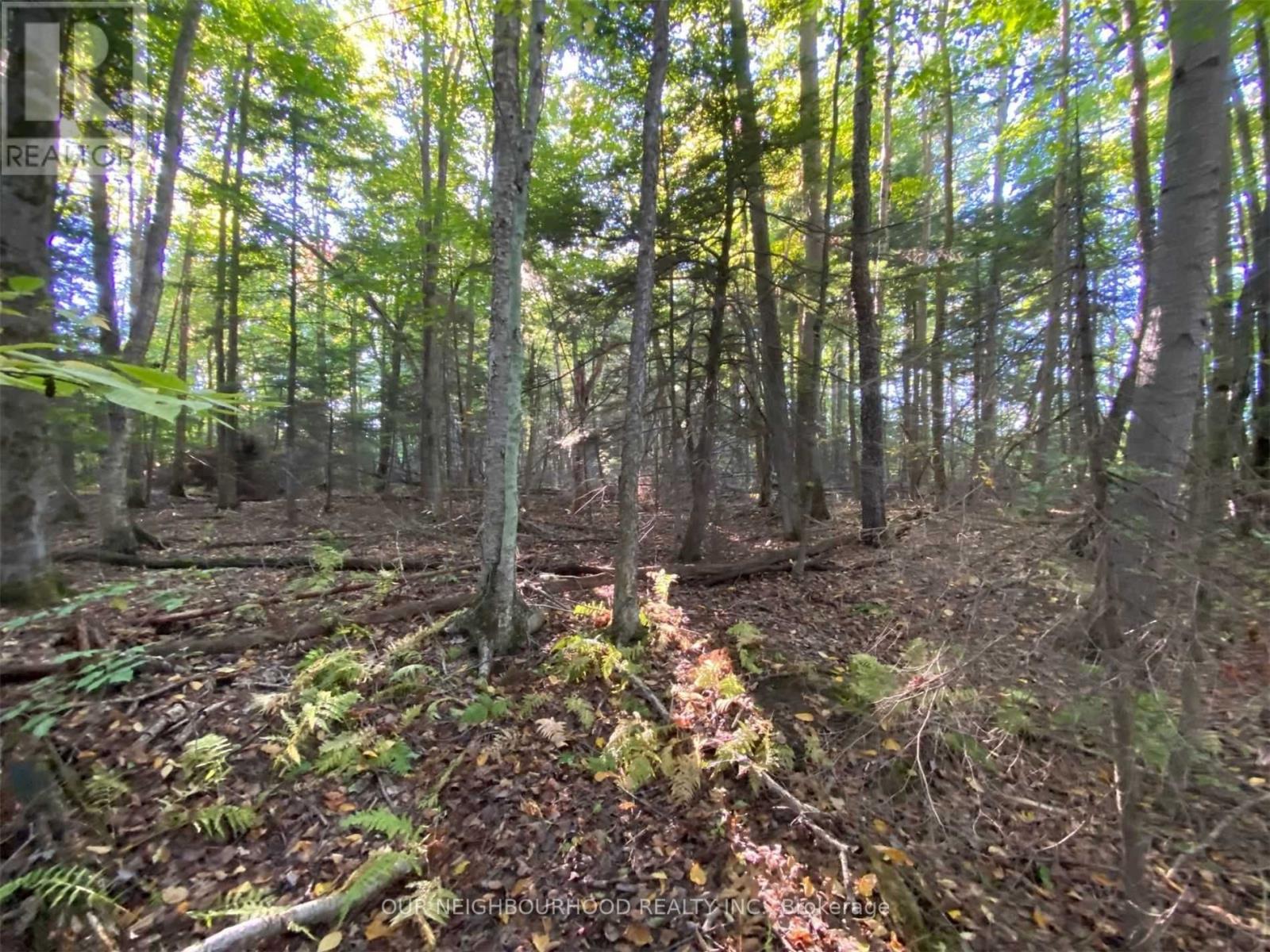 Listing X5904919 - Large Photo # 2