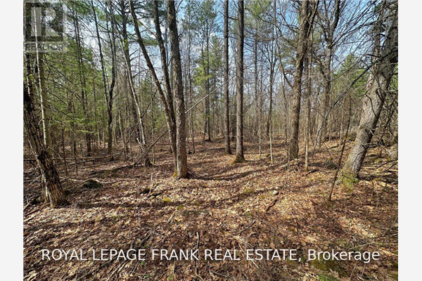 7144 HIGHWAY 28, North Kawartha