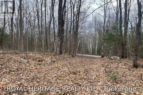 1587 ALSOP RD, Highlands East