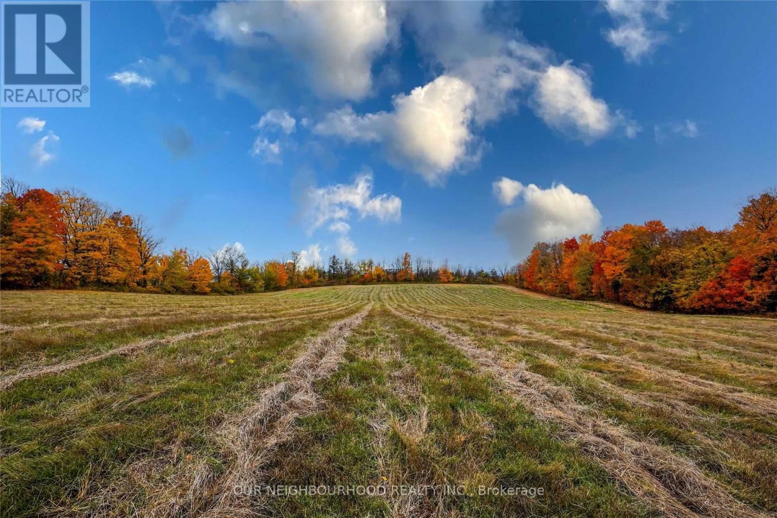 Listing X5920747 - Large Photo # 21