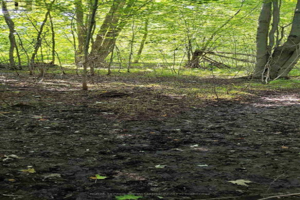 PT LOT CON 3 (1 OWNERSHIP), Prince Edward County
