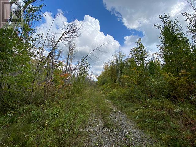 Listing X5932428 - Large Photo # 24
