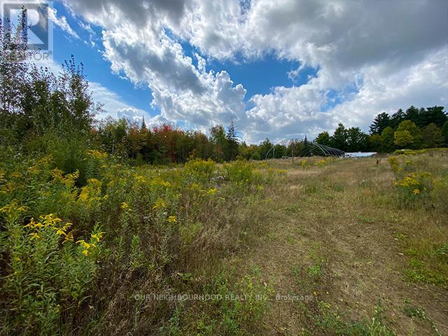 Listing X5932428 - Large Photo # 21