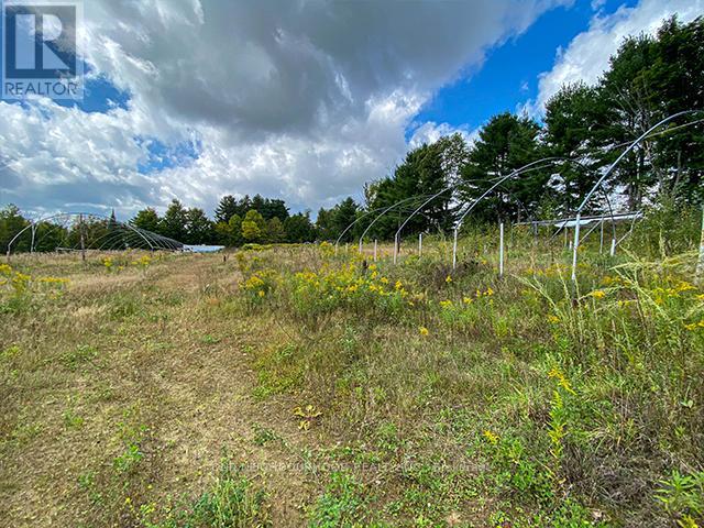 Listing X5932428 - Large Photo # 22