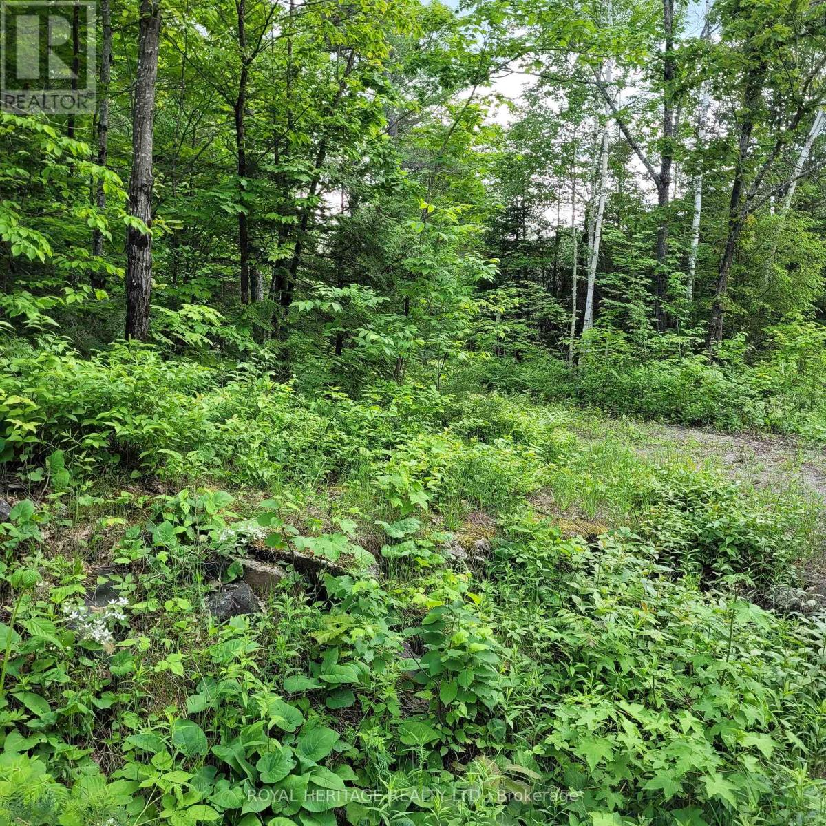 Listing X5933172 - Large Photo # 25