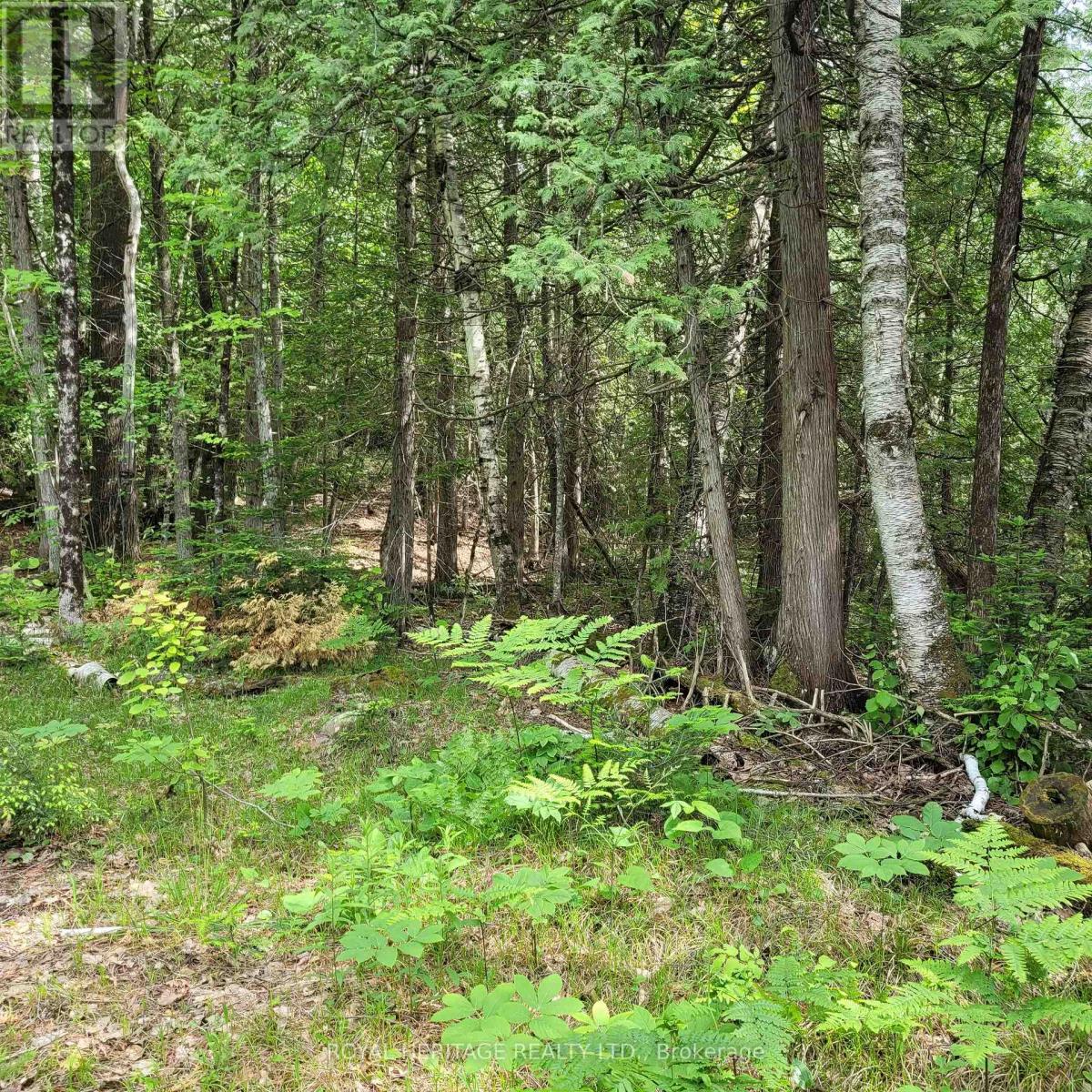 Listing X5933172 - Large Photo # 5