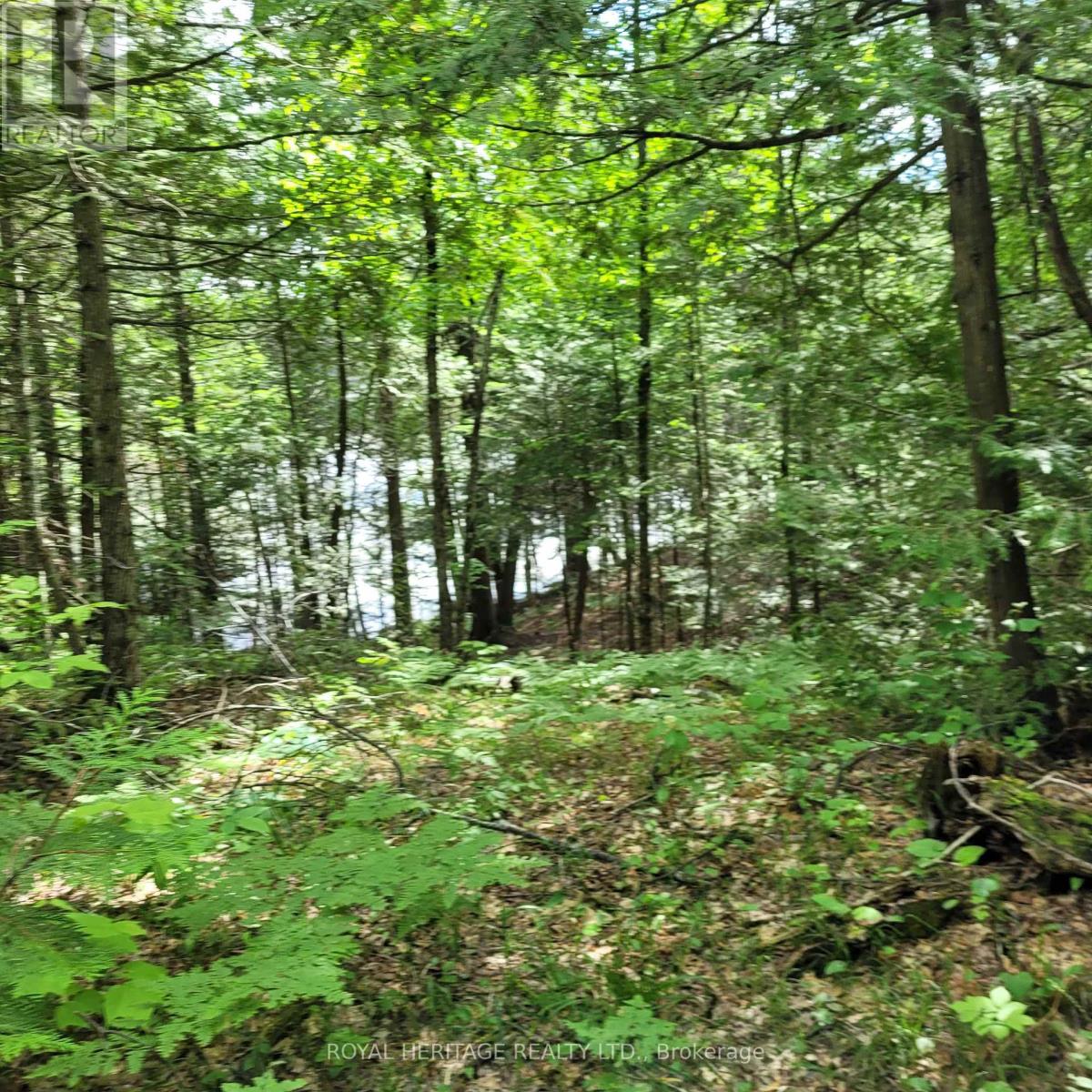 Listing X5933172 - Large Photo # 17