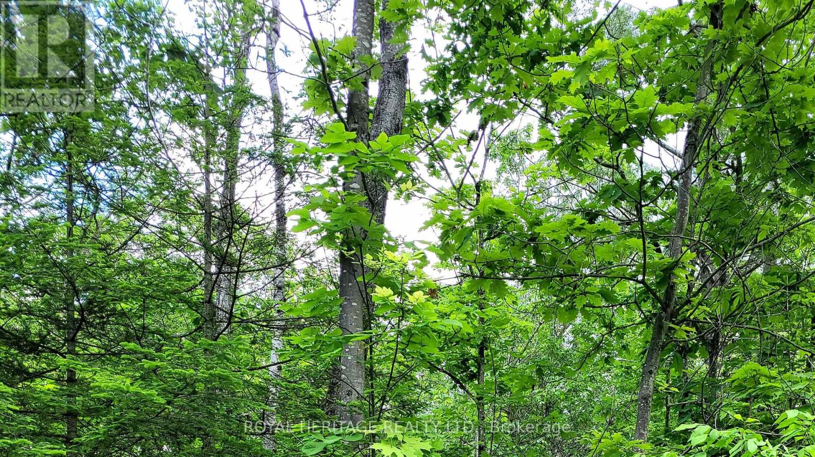 Listing X5933172 - Large Photo # 26