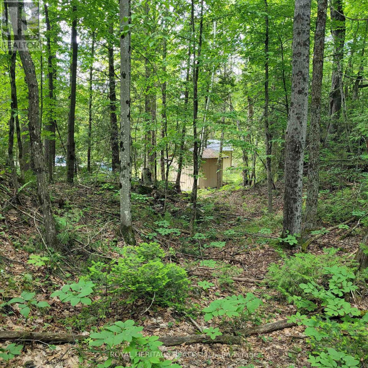 Listing X5933172 - Large Photo # 18