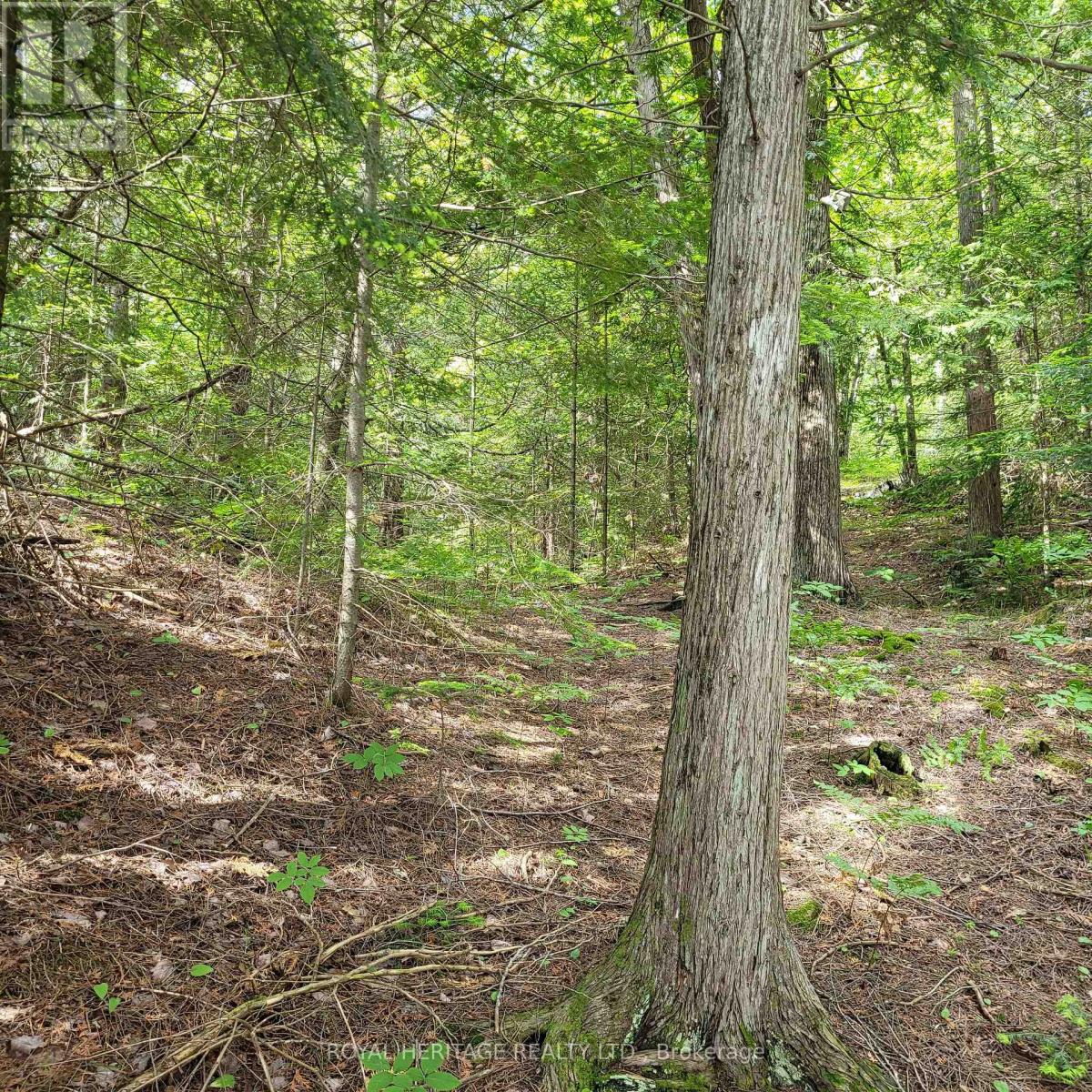 Listing X5933172 - Large Photo # 19