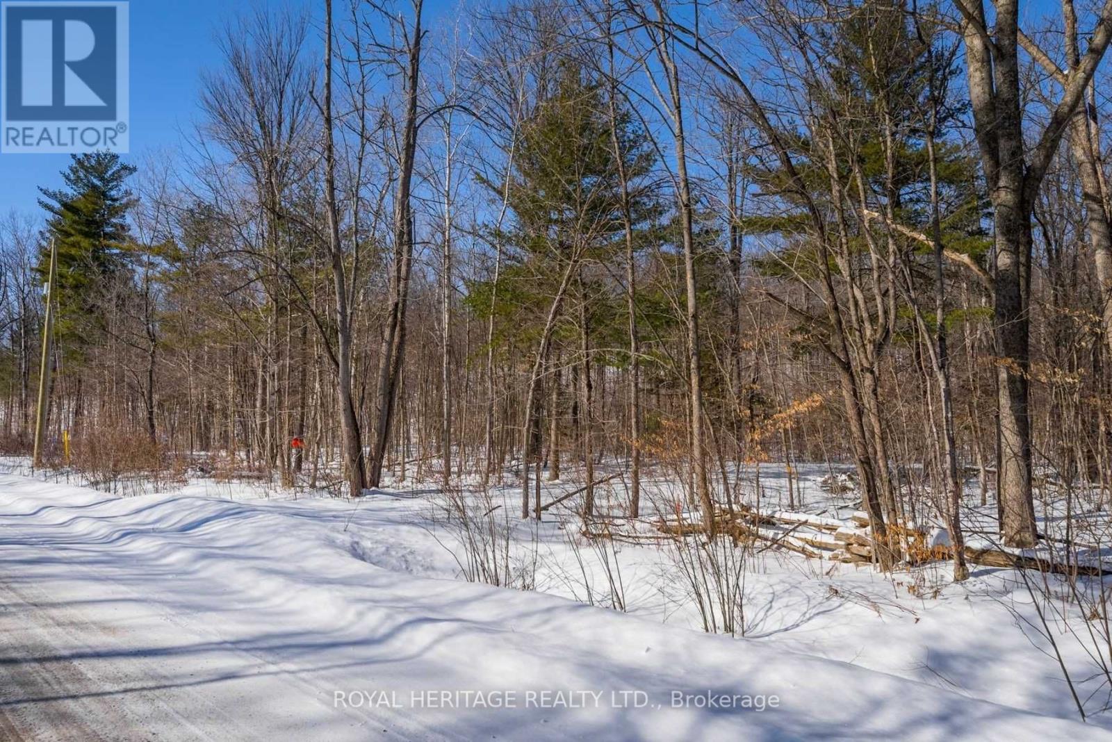 Listing X5934913 - Large Photo # 22
