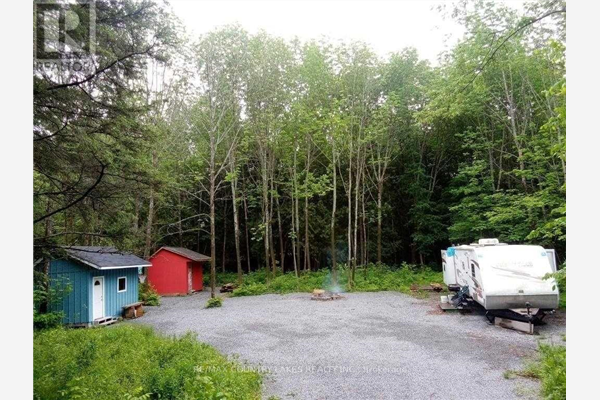 LOT 12 MCINTYRE RD, Kawartha Lakes