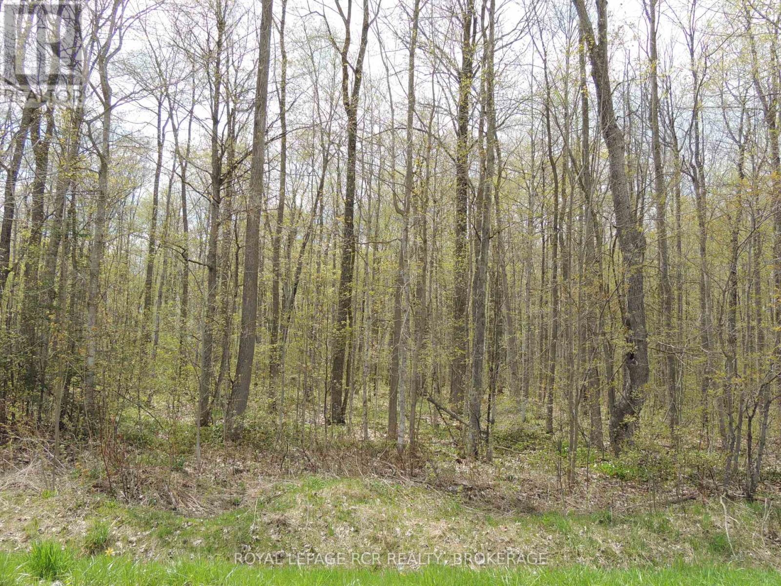 Listing X5945841 - Large Photo # 38