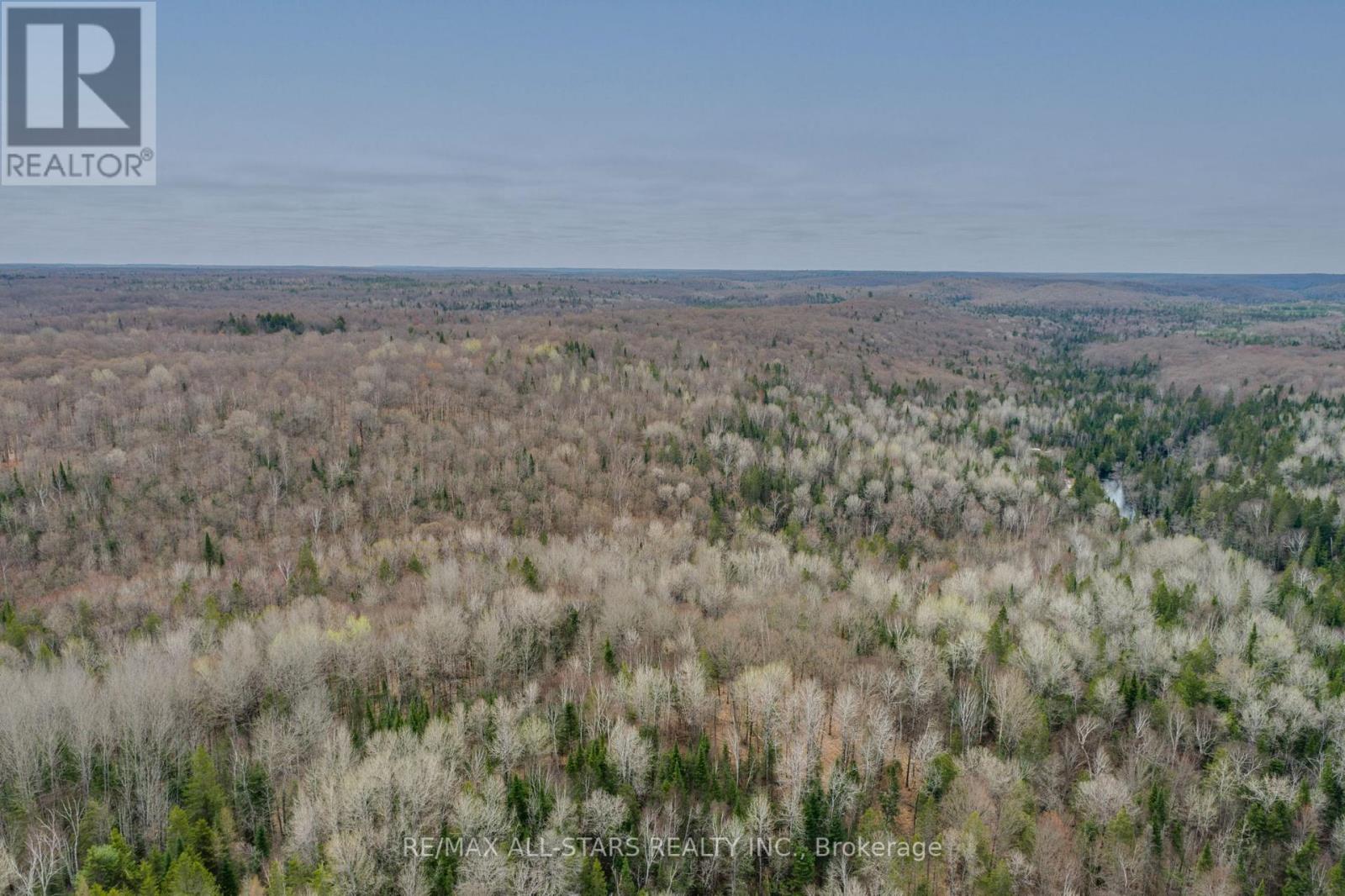 Listing X5948044 - Large Photo # 5