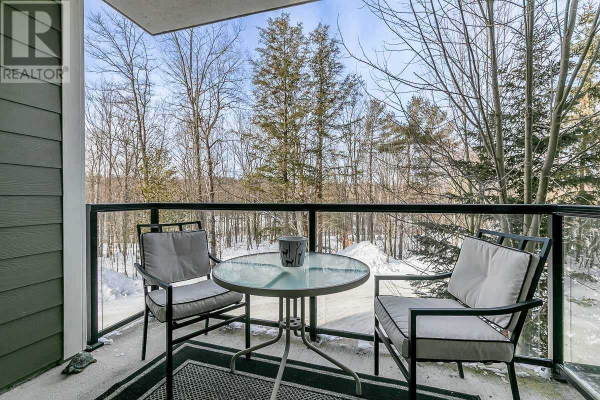 #203 -391 JAMES ST W, Gravenhurst