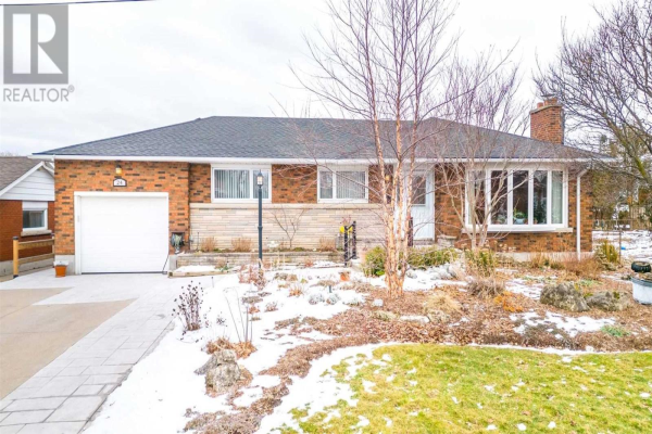 24 ALPINE AVE, Hamilton