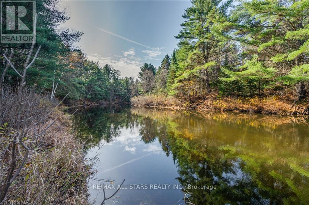 Listing X5962604 - Large Photo # 4