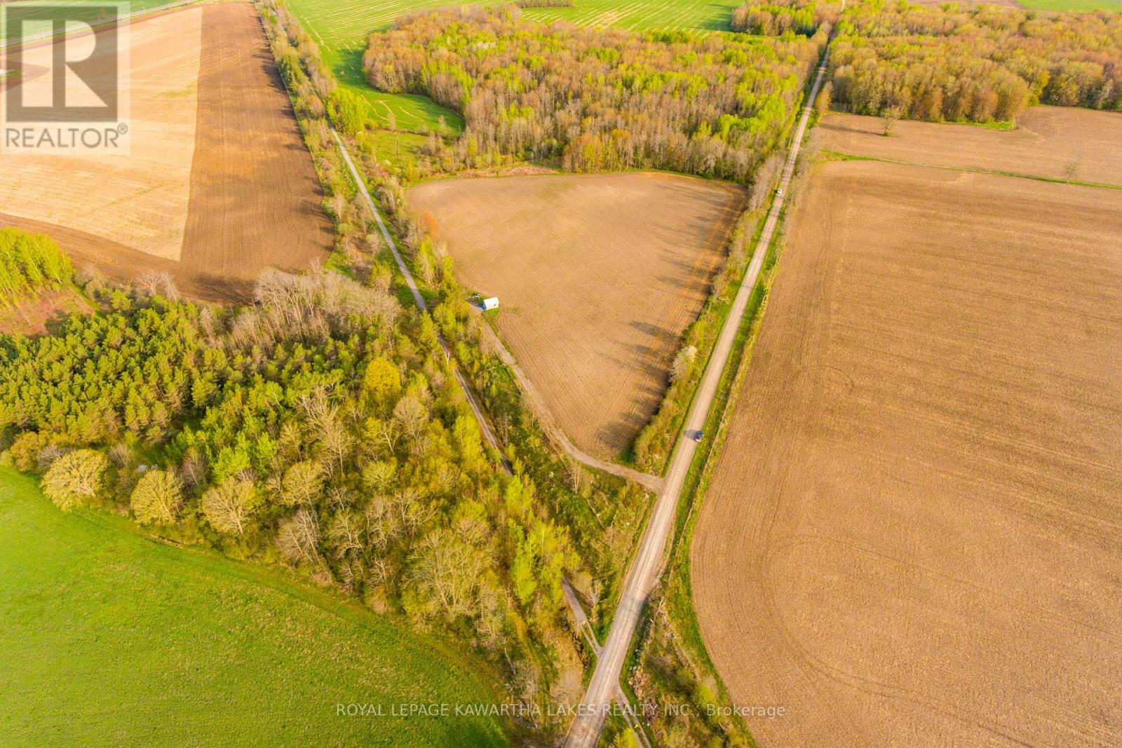 Listing X5968588 - Large Photo # 6