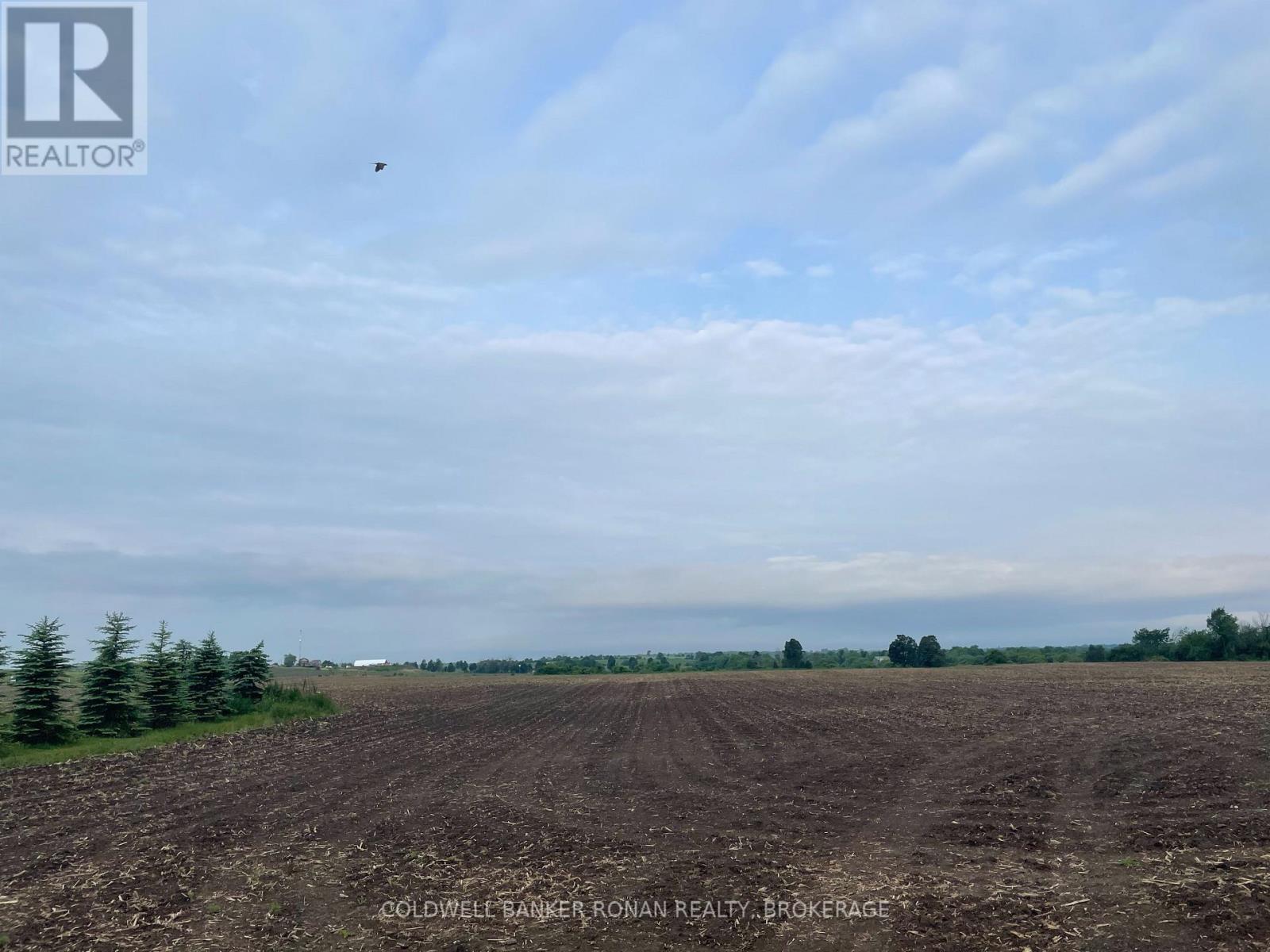 Listing X5969555 - Large Photo # 3