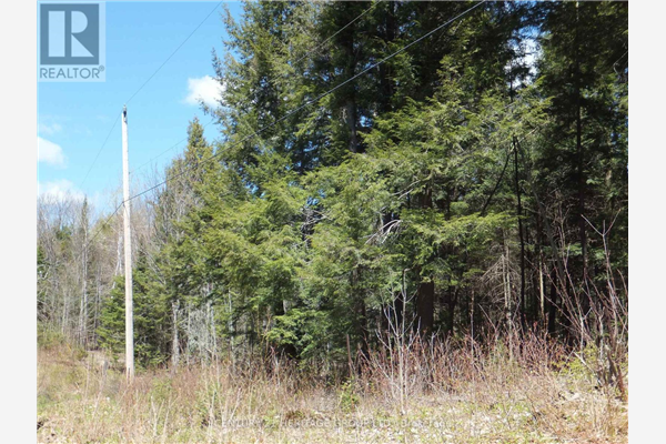 PT LT 23 CON 16 DEER LAKE RD, Highlands East