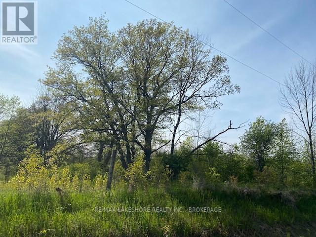 Listing X5987557 - Large Photo # 5