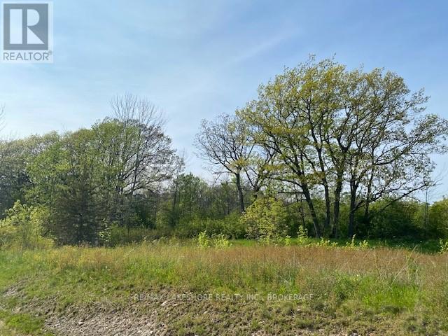 Listing X5987557 - Large Photo # 3
